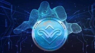 柚子币下载入口 柚子币下链接接