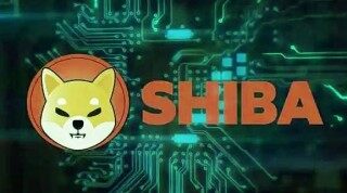 SHIB平台app安卓下载 屎币交易平台手机版