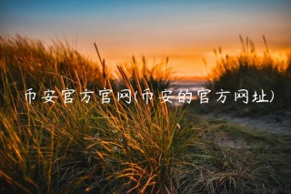 binance官方官网(binance的官方网址)